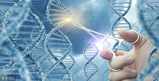 基因工程是生物技术的核心,改变了传统生物科技的被动状态